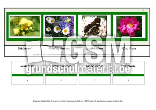 Setzleiste-zusammengesetzte-Frühlingswörter 7.pdf